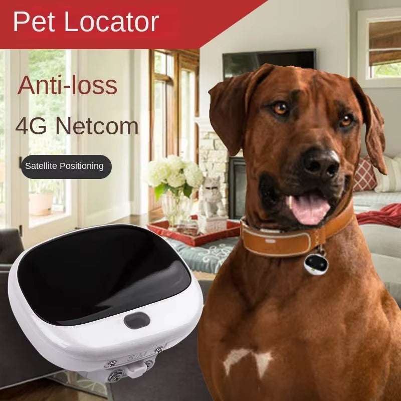 4G GPS Personal Tracker Mini GPS Pets Tracker 4G LTE 2G GSM Best Dog Gps Tracker with Free APP Waterproof RF-V43