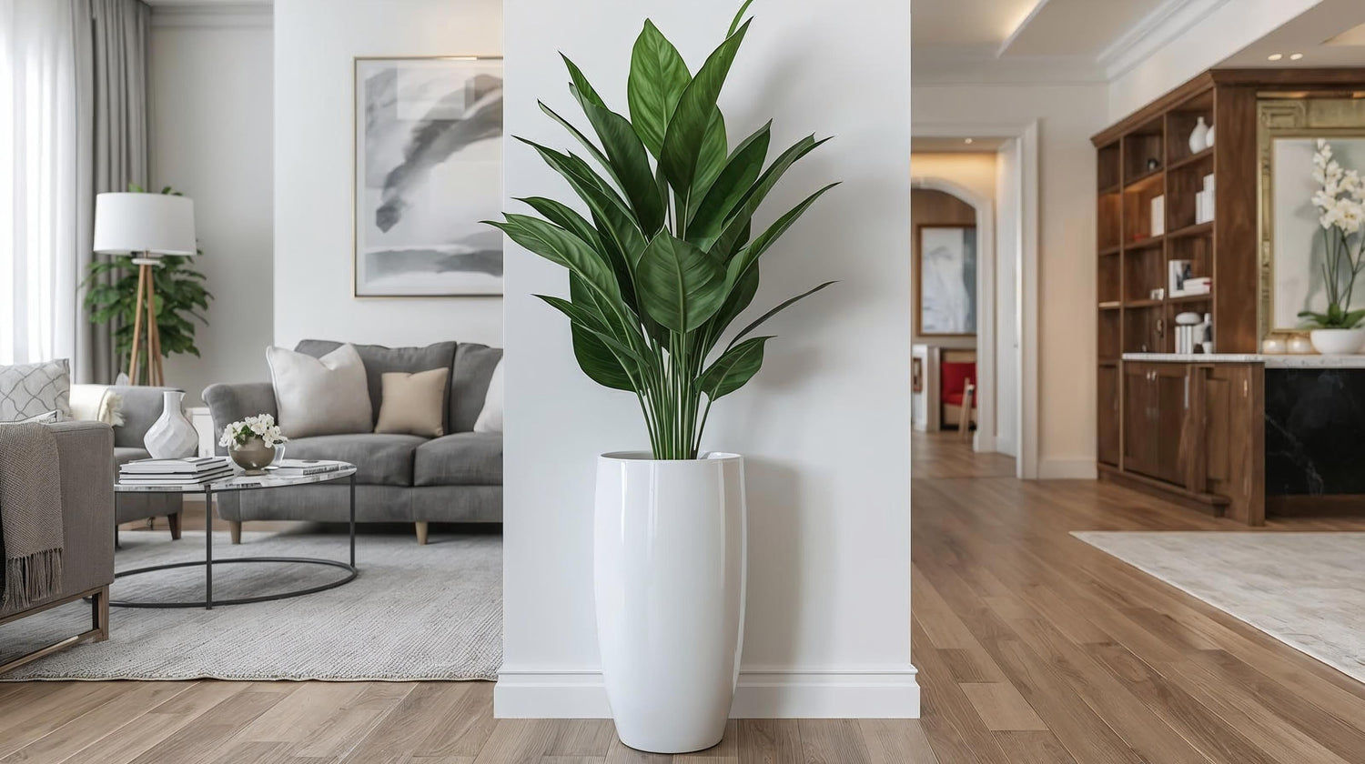 Modern Indoor Pots